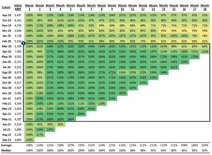 Net Revenue Retention data table - EVP portfolio company
